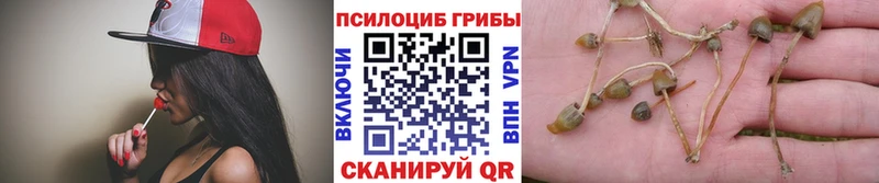 Галлюциногенные грибы Magic Shrooms  Купить где  Струнино 