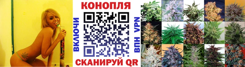 Купить  Струнино  Марихуана SATIVA & INDICA 